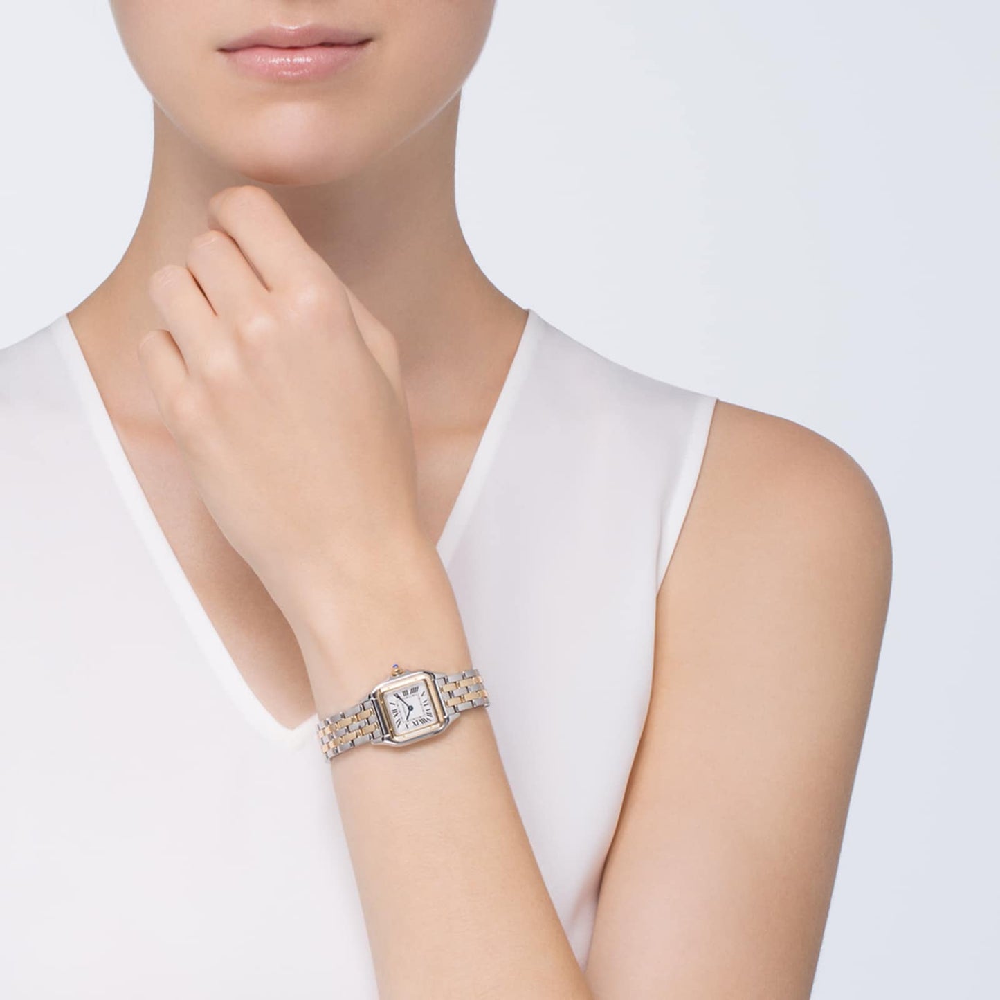 CARTIER Panthère De Cartier Watch Small Model, Quartz Movement, Yellow Gold, Steel W2PN0006